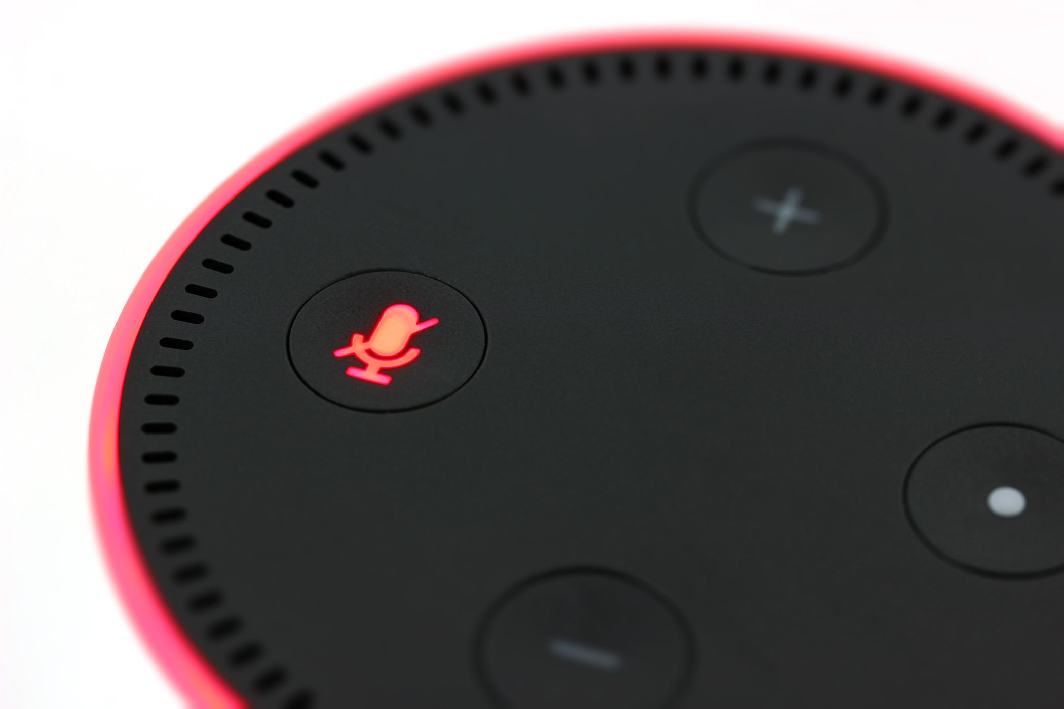 echo-dot-2937627